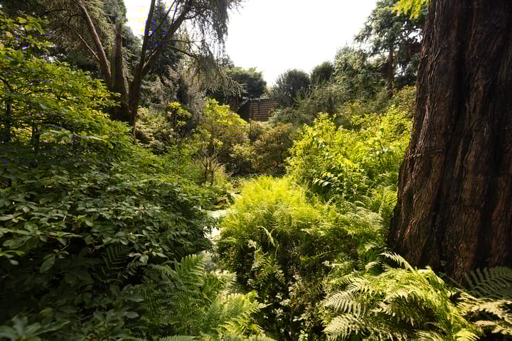 Foto 45 van Schapendrift 63