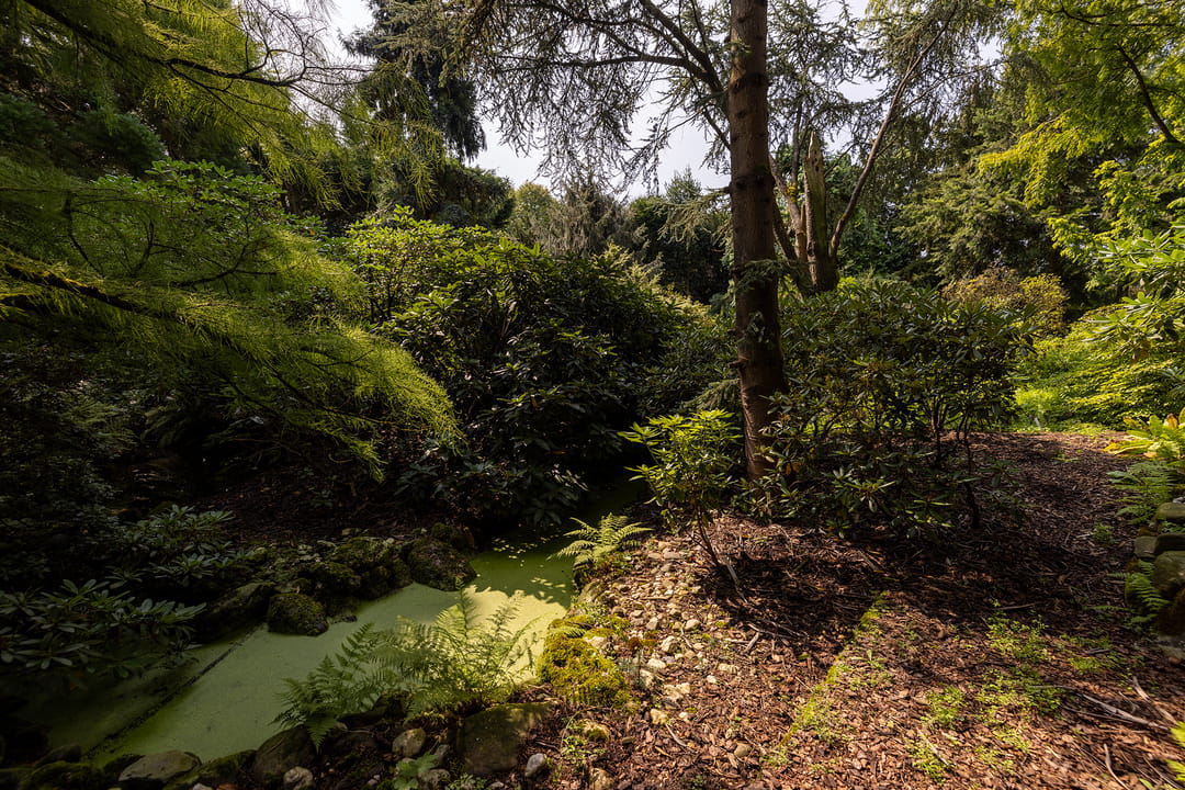 Foto 46 van Schapendrift 63