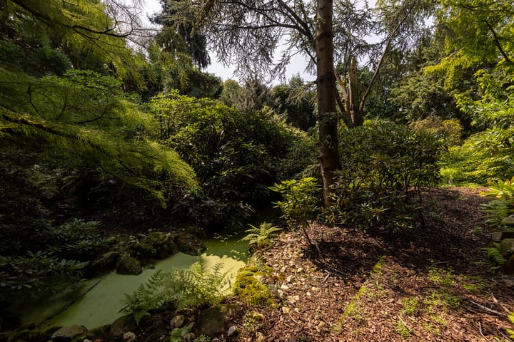 Foto 46 van Schapendrift 63