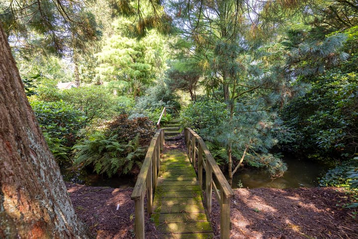 Foto 47 van Schapendrift 63