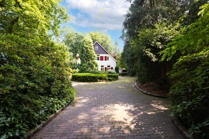 Foto 50 van Schapendrift 63