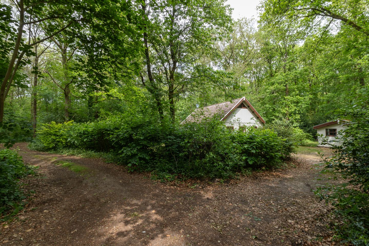 Foto 5 van Dennenlaan 25-A20