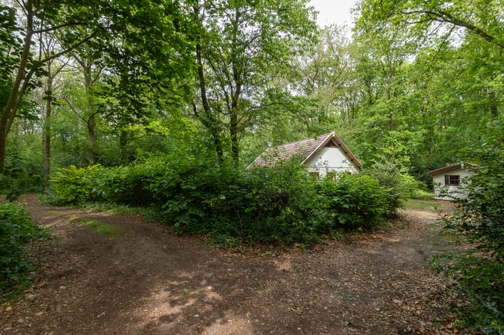 Photo 5 of Dennenlaan 25-A20