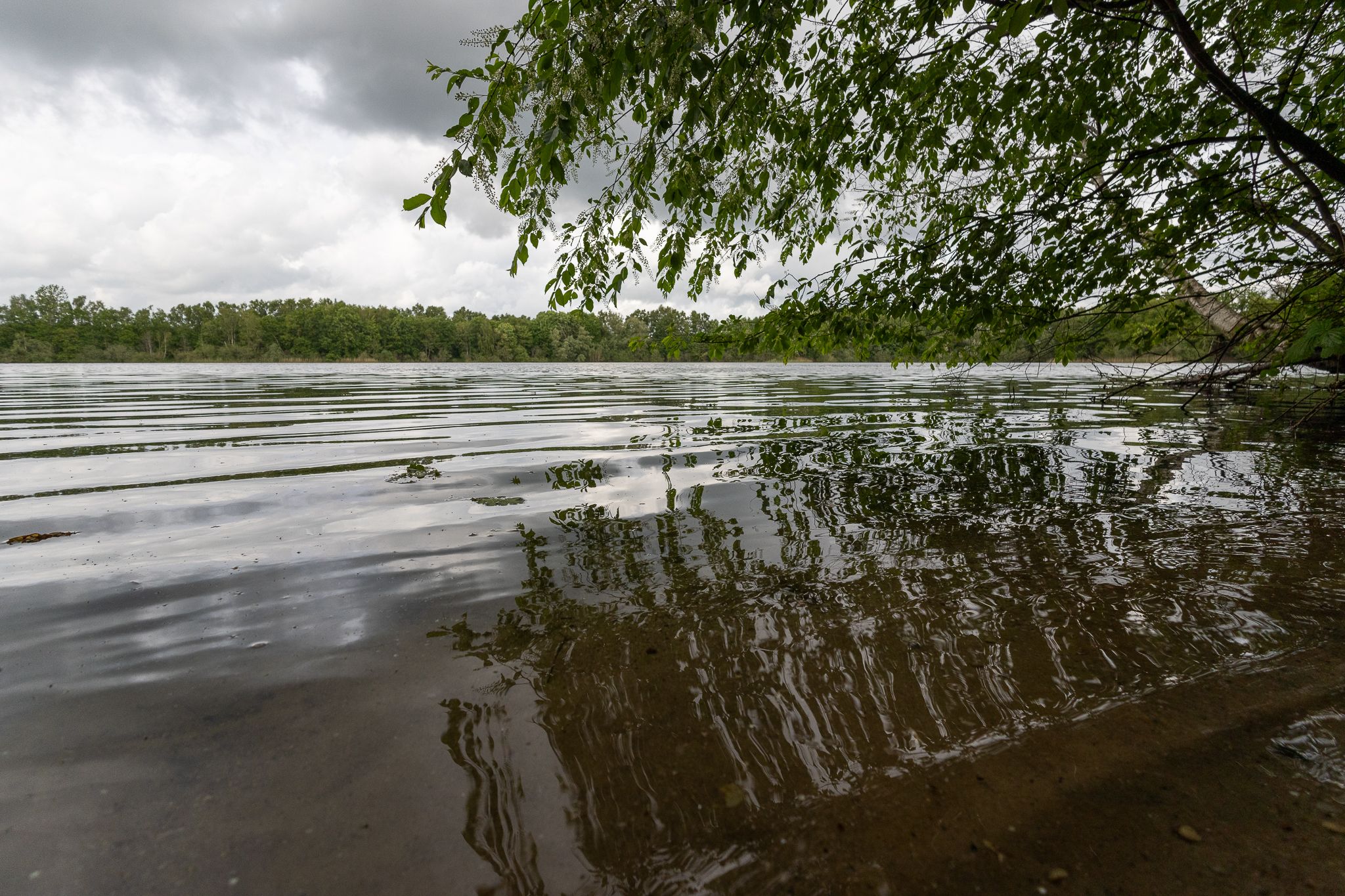 Foto 3 van Dennenlaan 25-A20