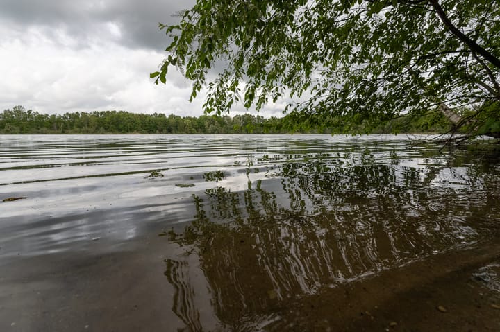 Photo 3 of Dennenlaan 25-A20