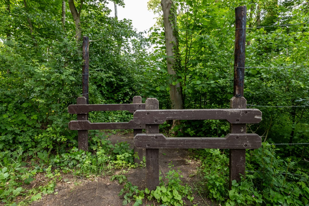 Foto 47 van Dennenlaan 25-A20