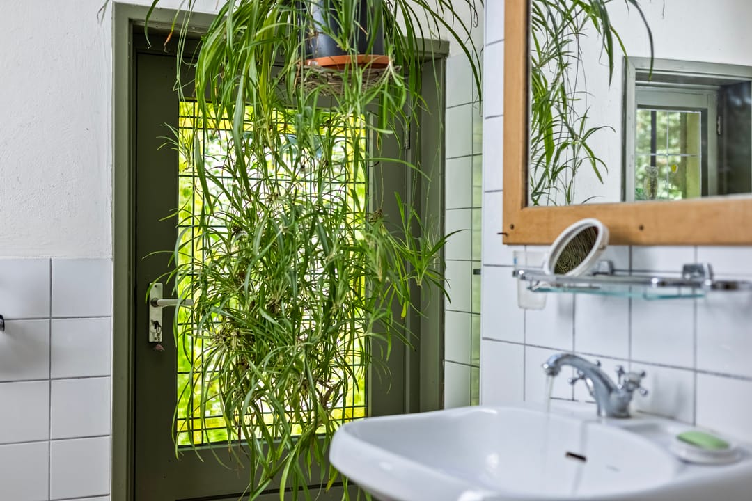 Foto 22 van Bakerwaardseweg 7