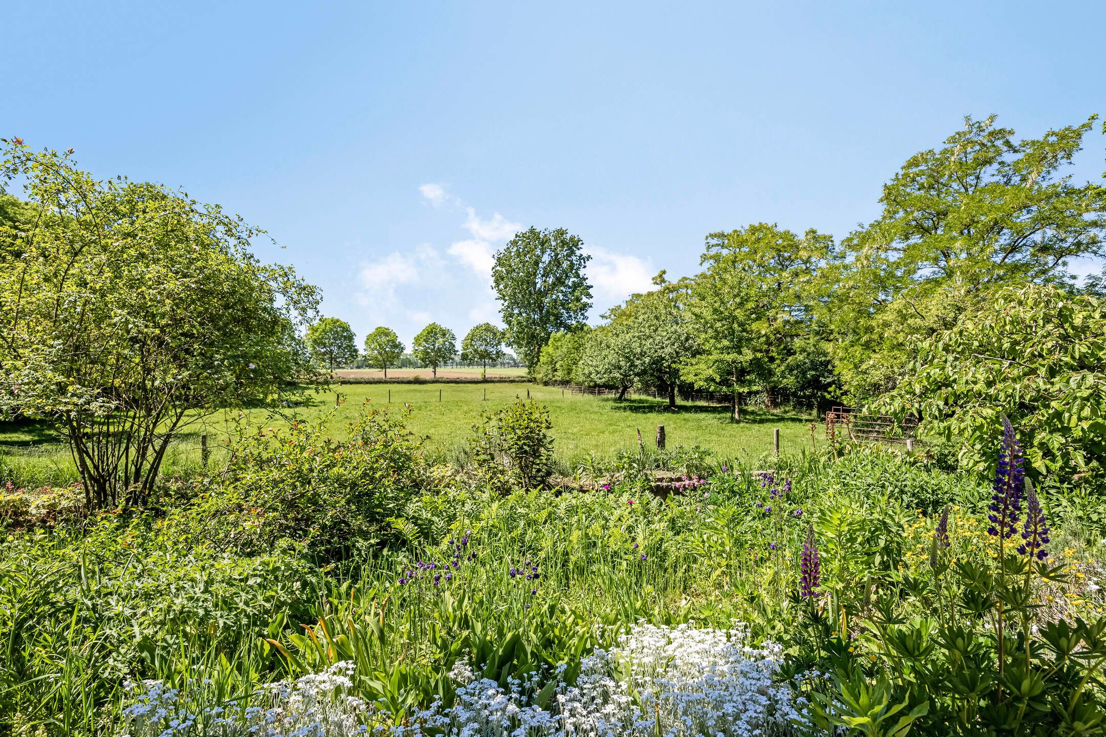 Foto 45 van Bakerwaardseweg 7