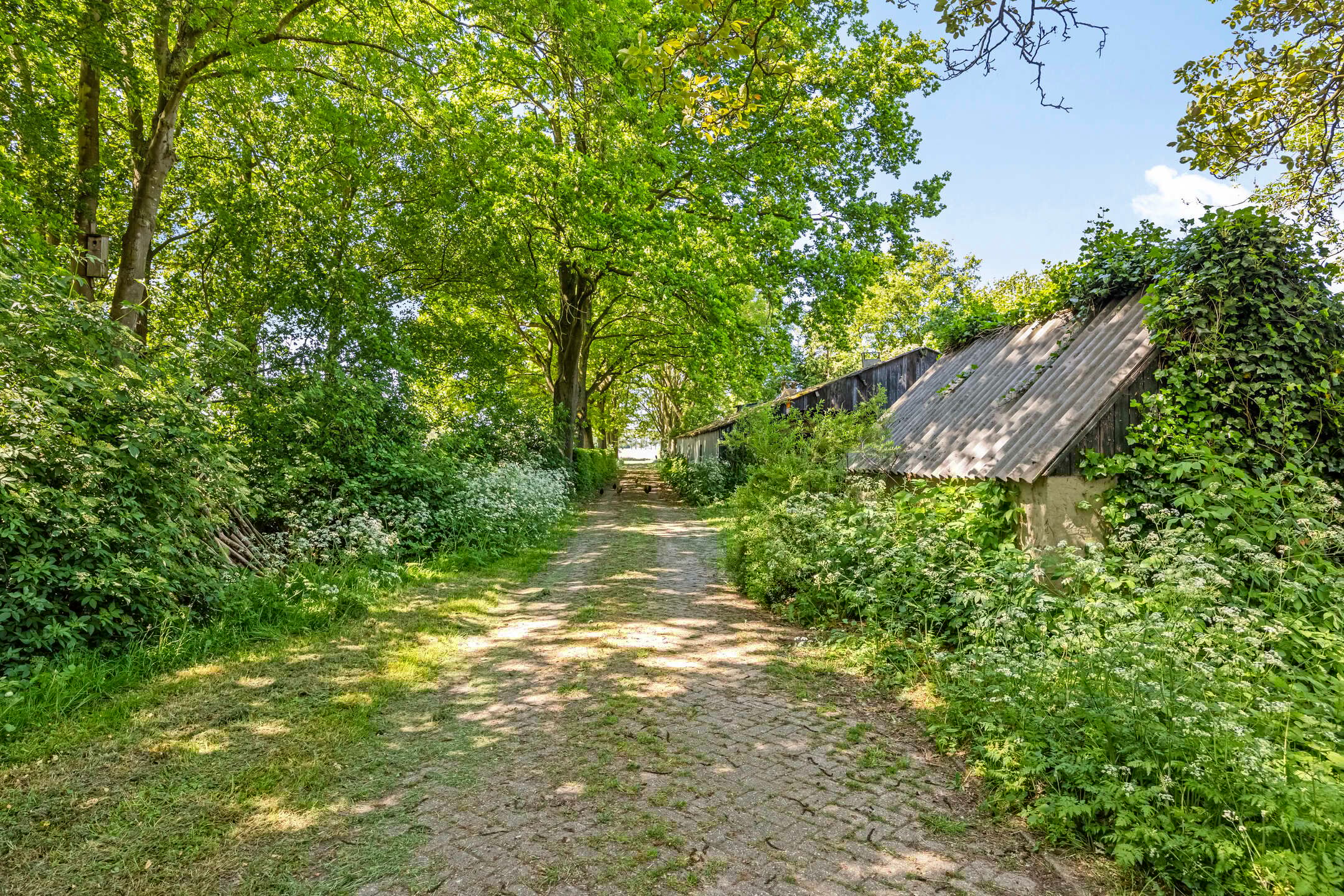 Foto 48 van Bakerwaardseweg 7