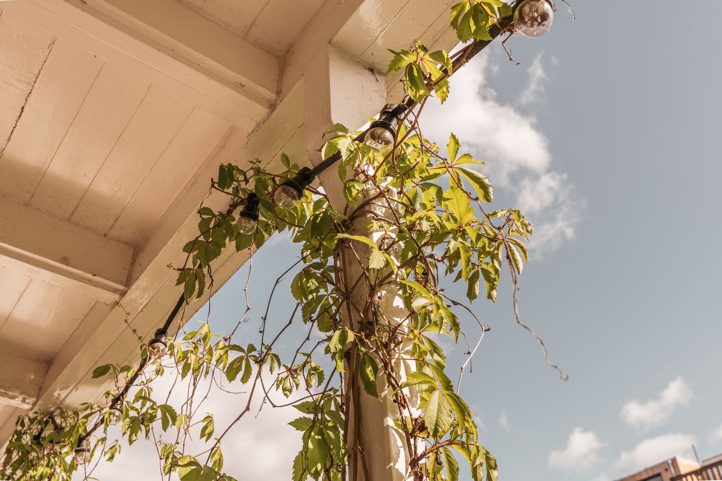 Foto 20 van Bredeweg 15-1