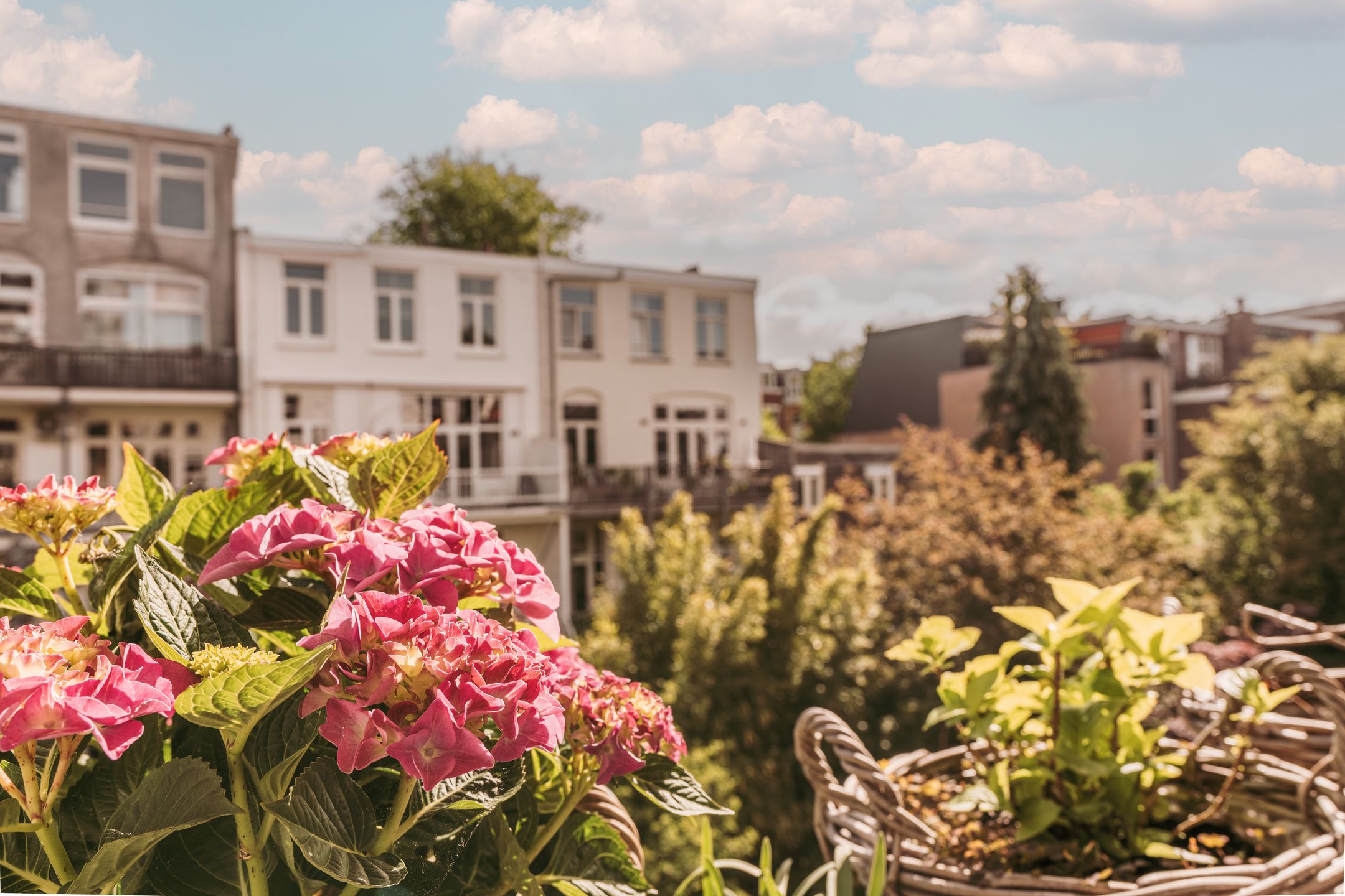 Foto 21 van Bredeweg 15-1