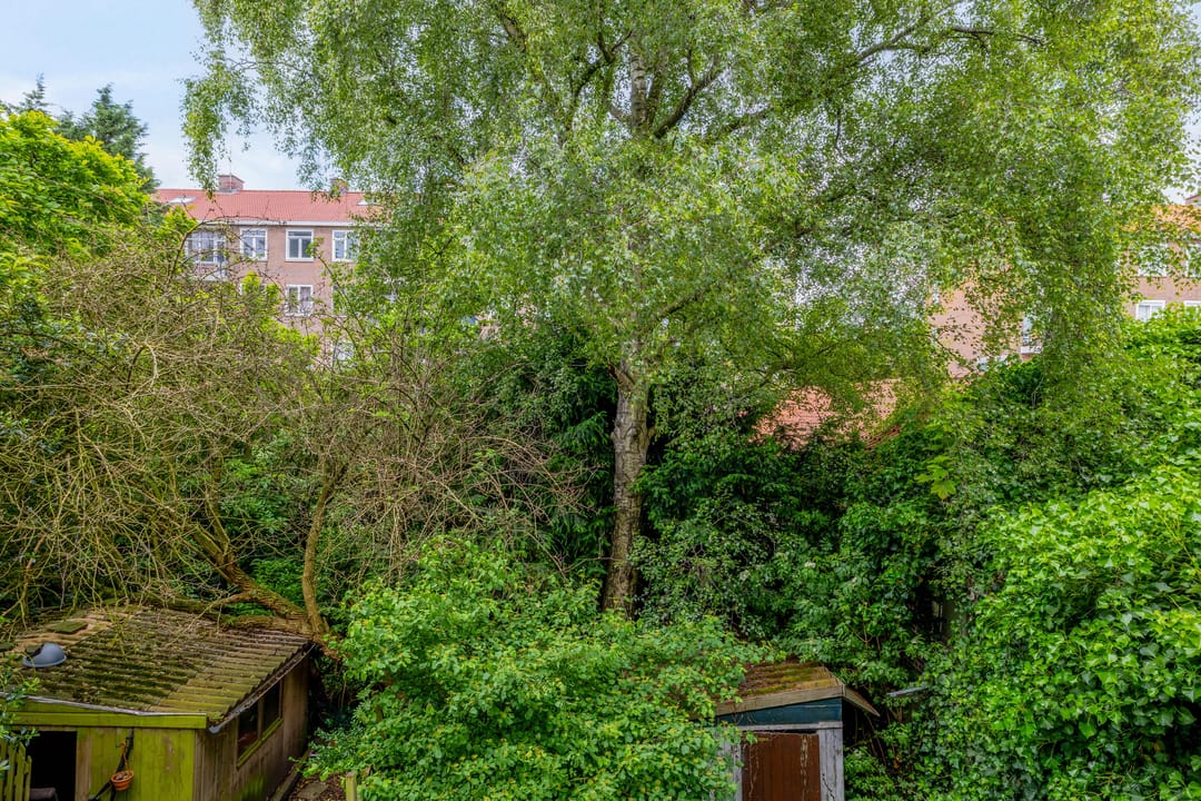 Foto 22 van Deensestraat 35-B