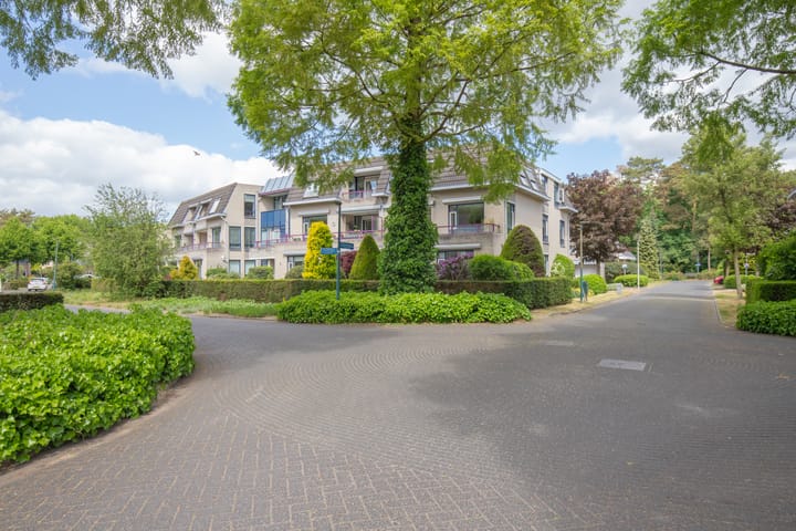 Foto 47 van Distelvinklaan 12