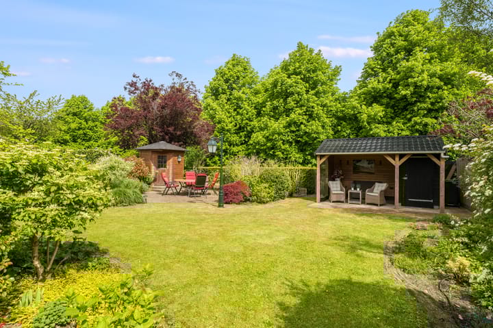 Foto 60 van Grutto 59