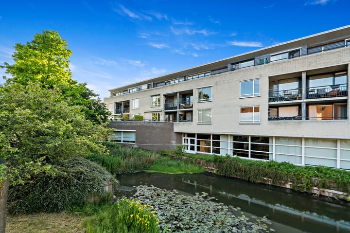 Foto 2 van Fluitekruid 6