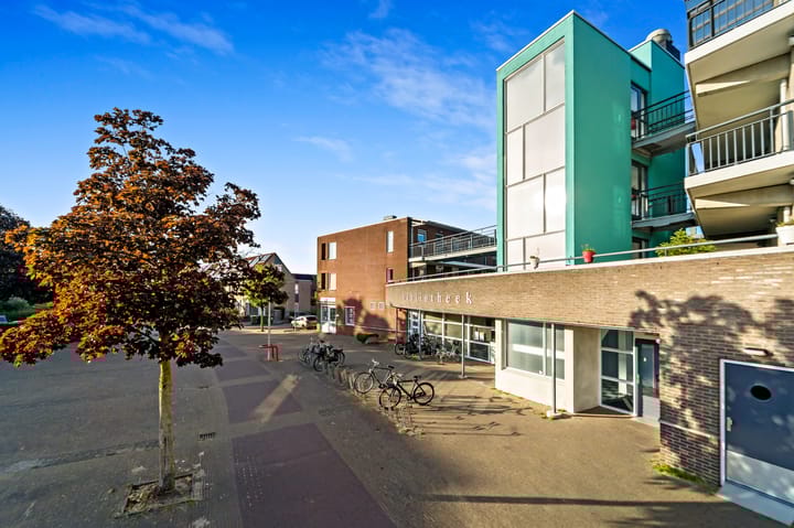 Foto 3 van Fluitekruid 6