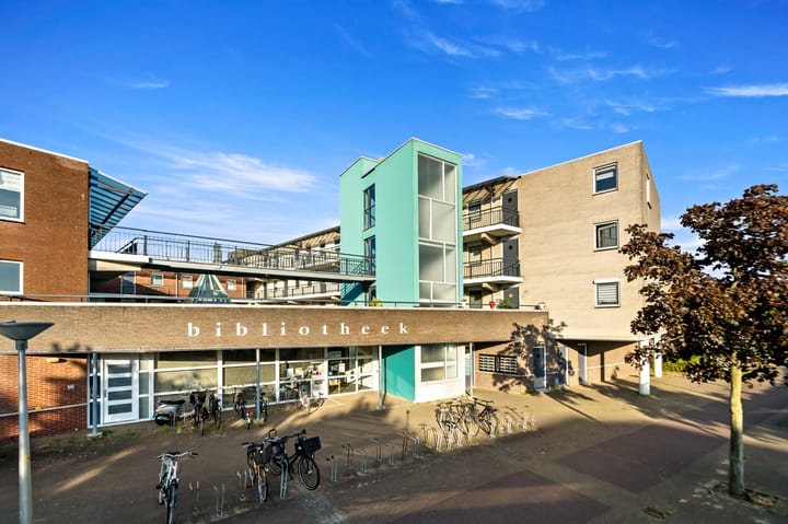 Foto 4 van Fluitekruid 6