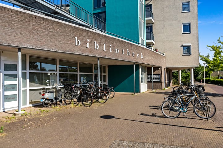 Foto 5 van Fluitekruid 6