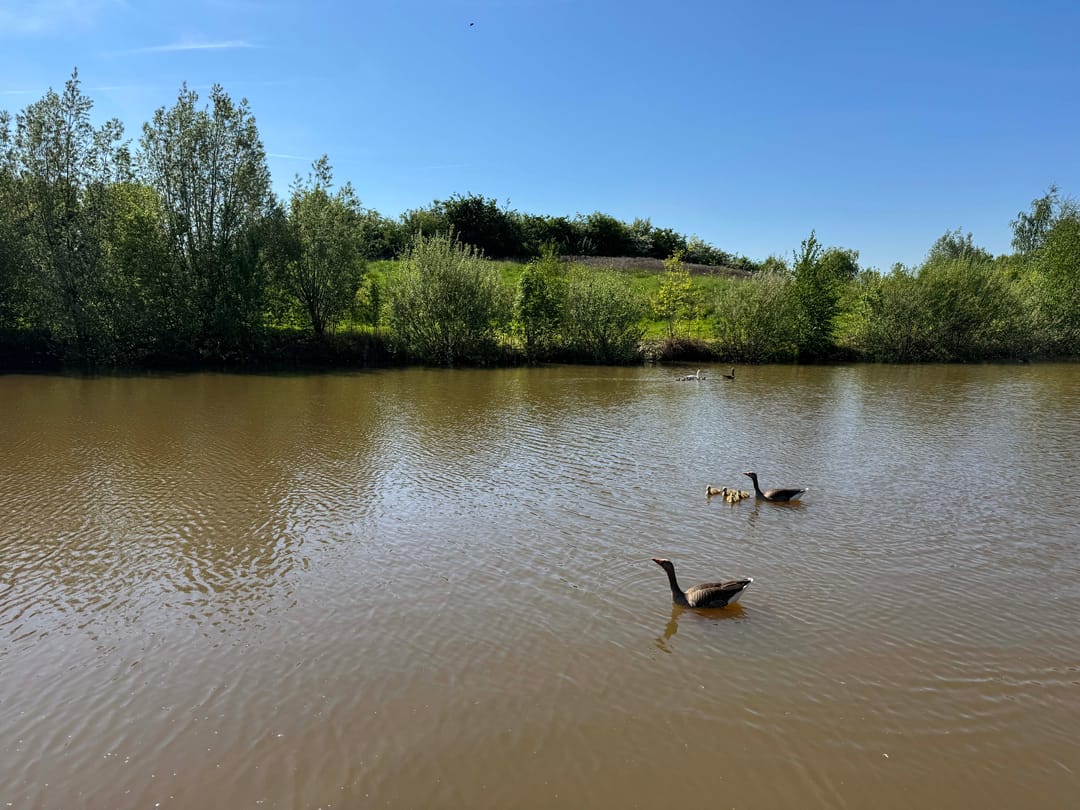 Foto 23 van Gerhard Eilanderstraat 11