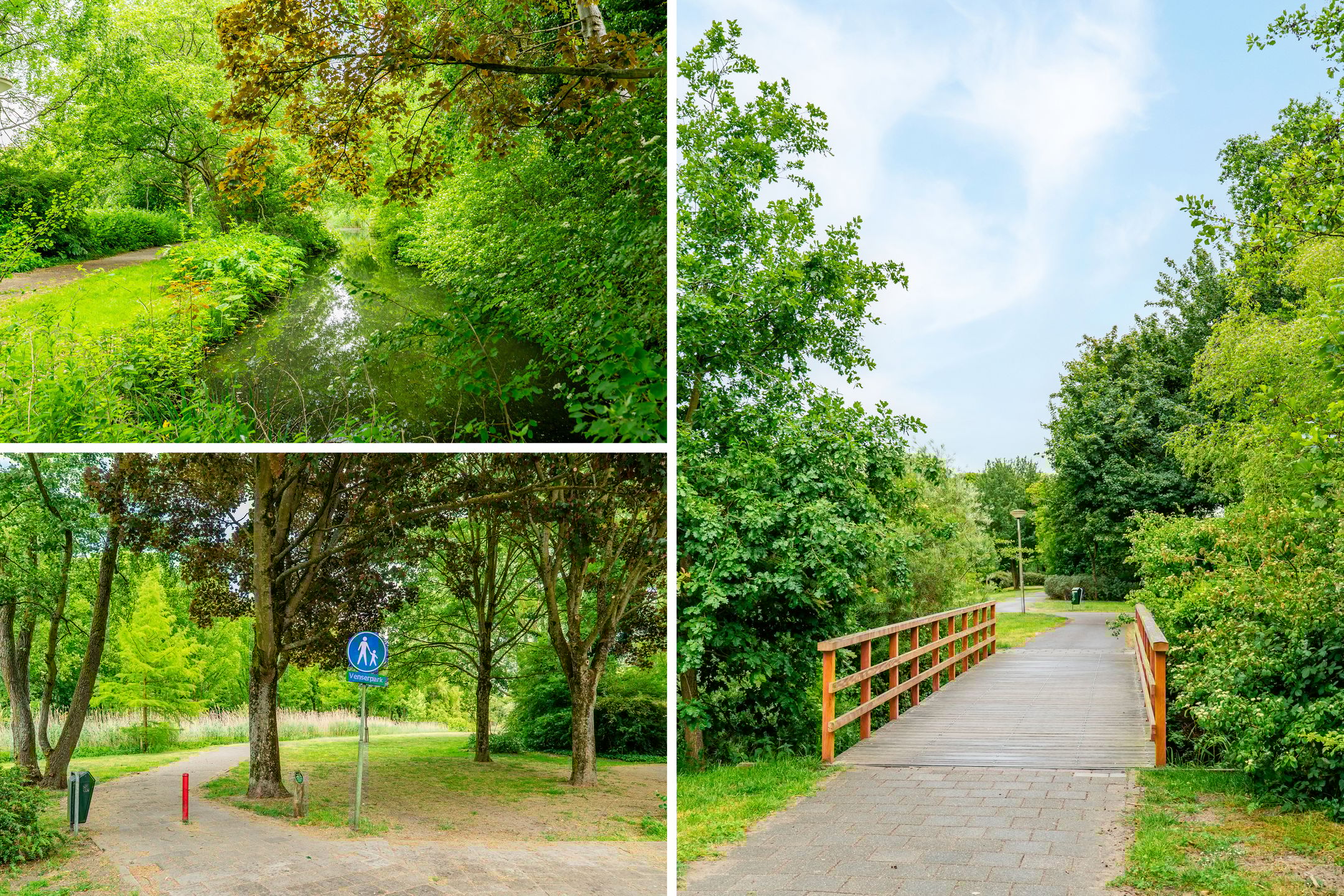 Foto 48 van Burgemeester van Damstraat 3