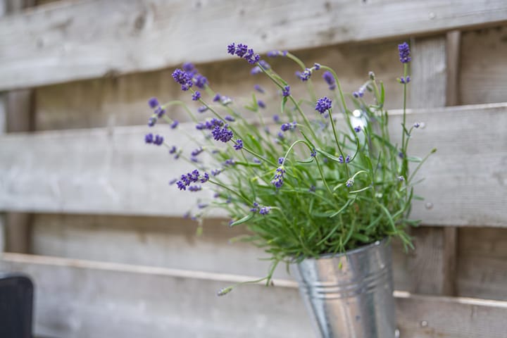 Foto 37 van Wilhelmina Druckerweg 56