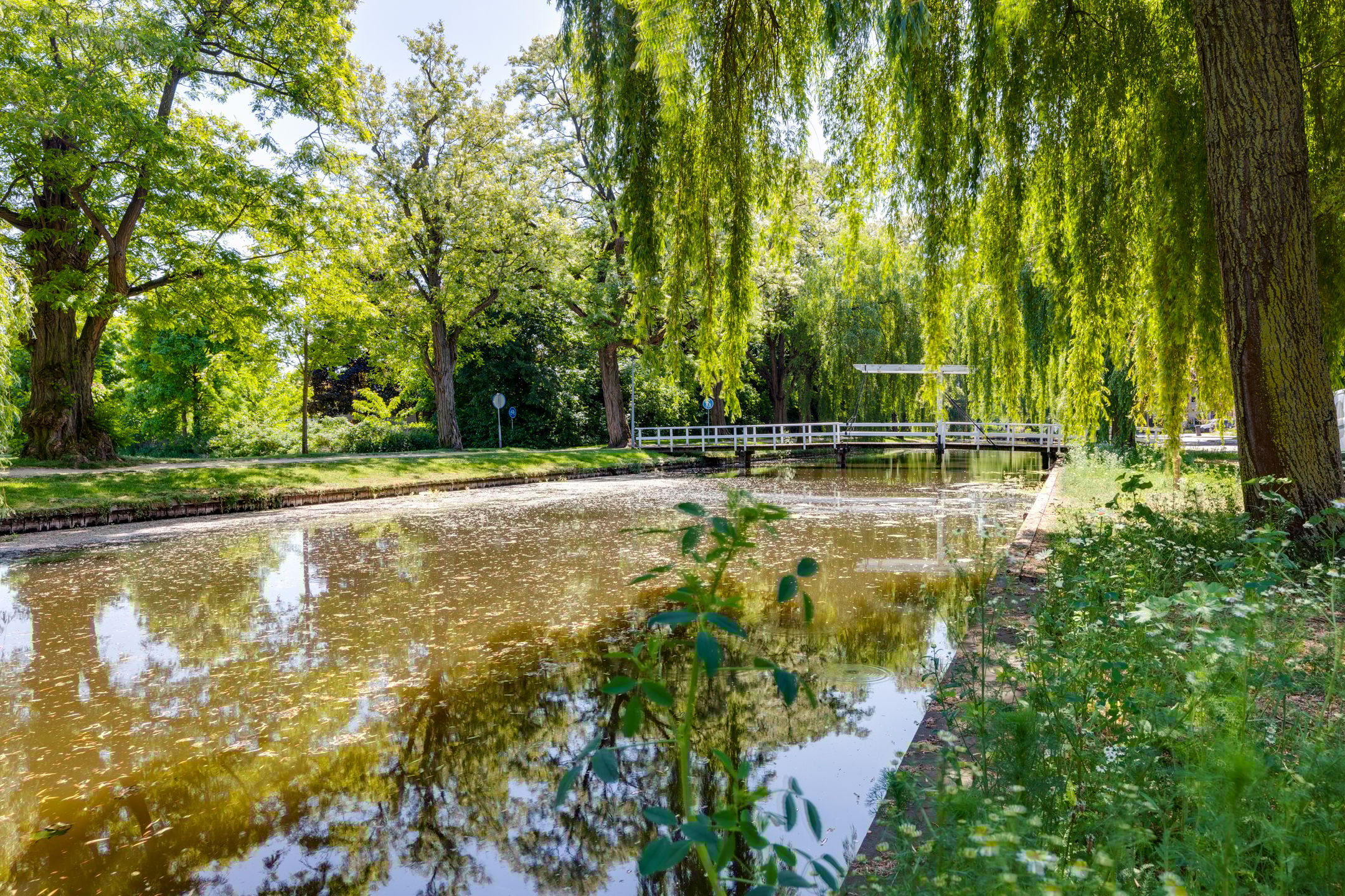 Foto 24 van Weverstraat 12-A