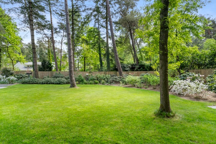 Foto 4 van Sparrenbos 9