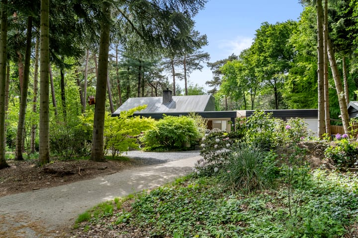 Foto 8 van Sparrenbos 9