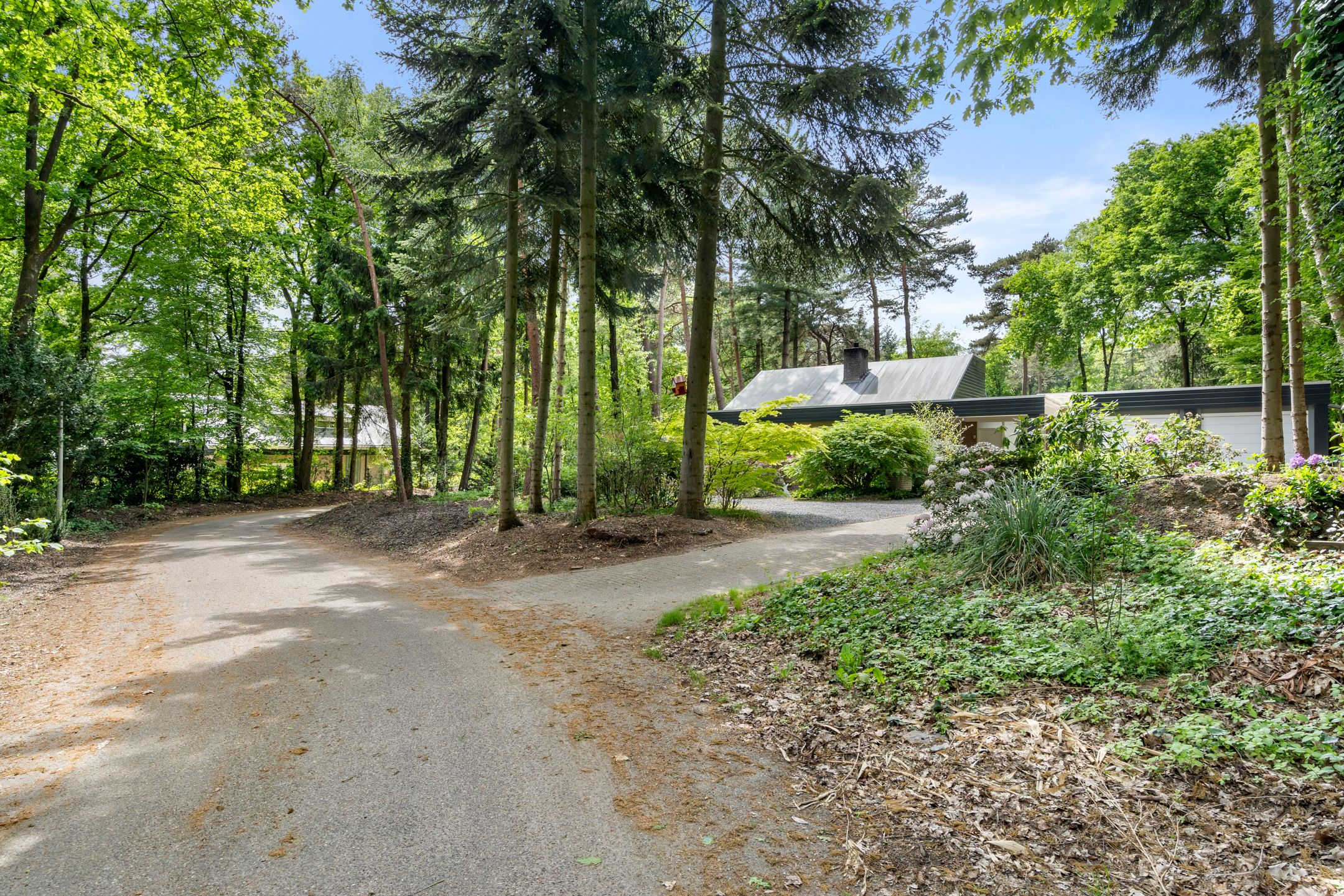 Photo 9 of Sparrenbos 9