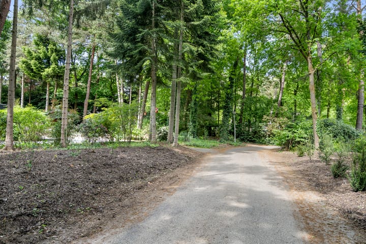 Foto 10 van Sparrenbos 9