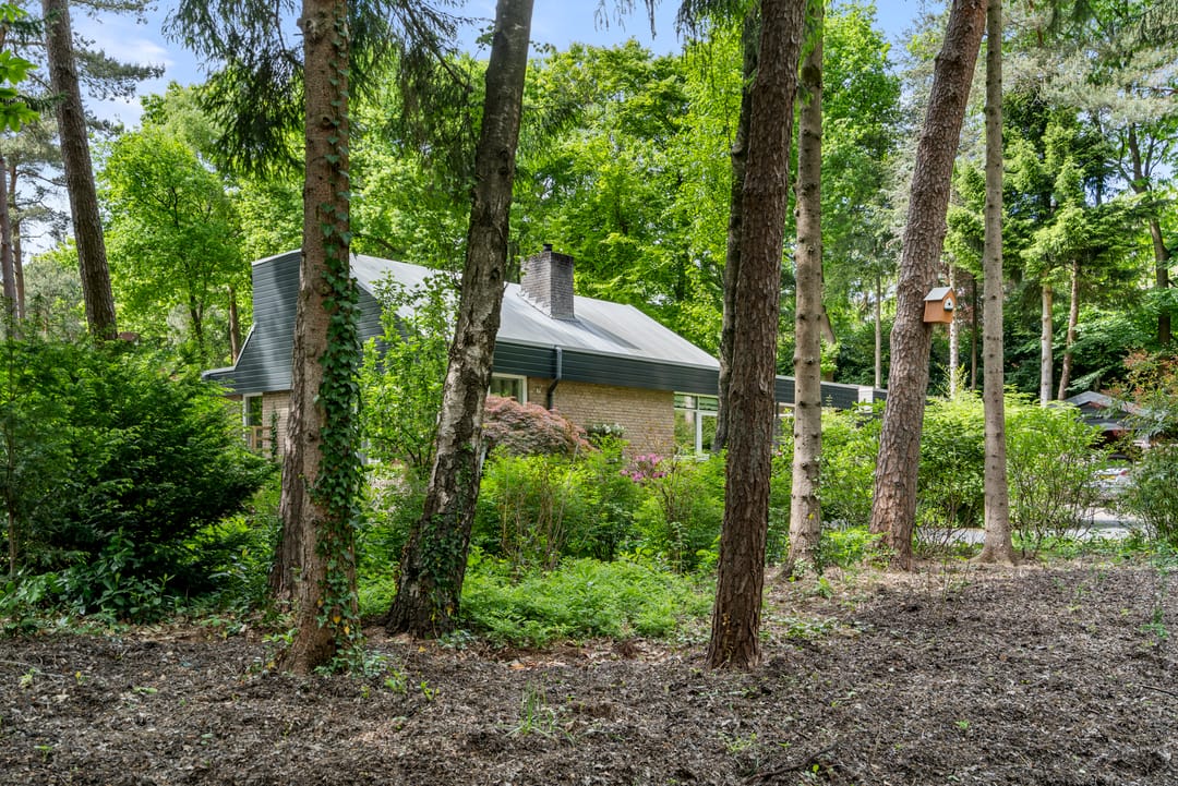 Photo 11 of Sparrenbos 9