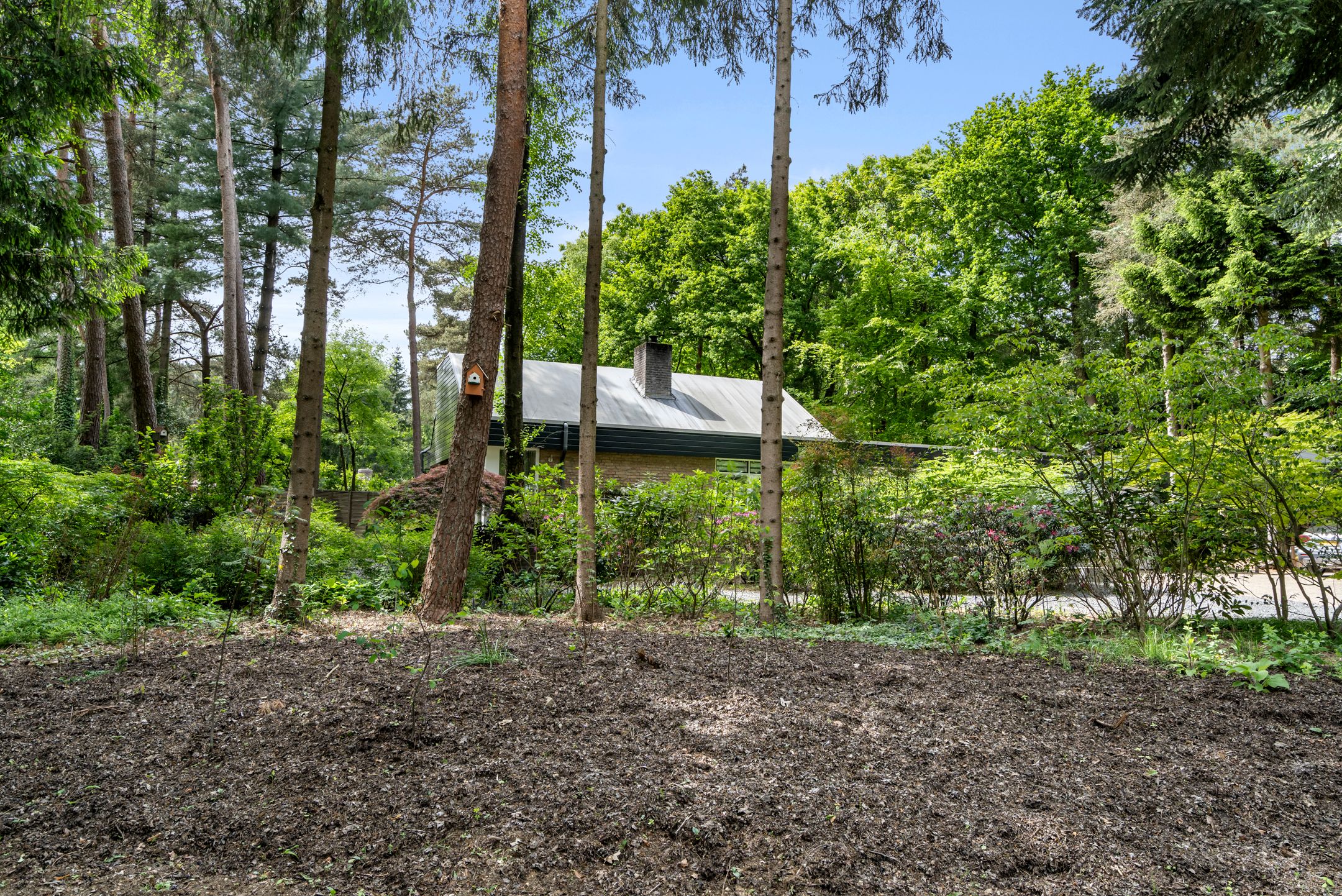 Photo 12 of Sparrenbos 9