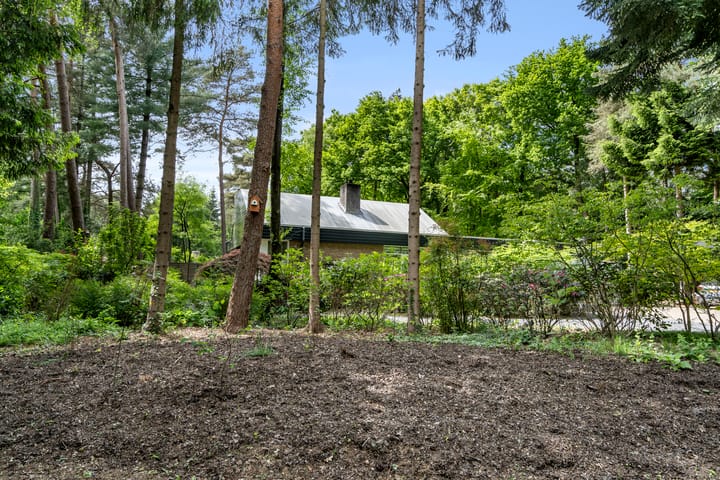 Foto 12 van Sparrenbos 9