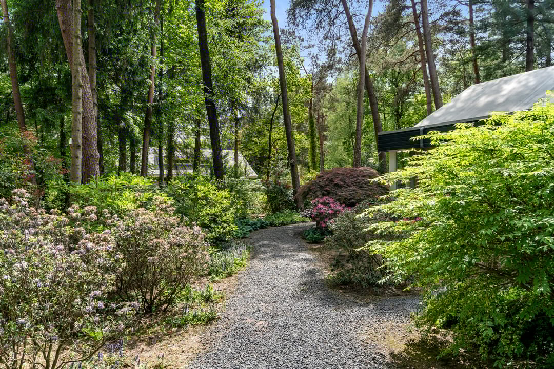 Photo 13 of Sparrenbos 9