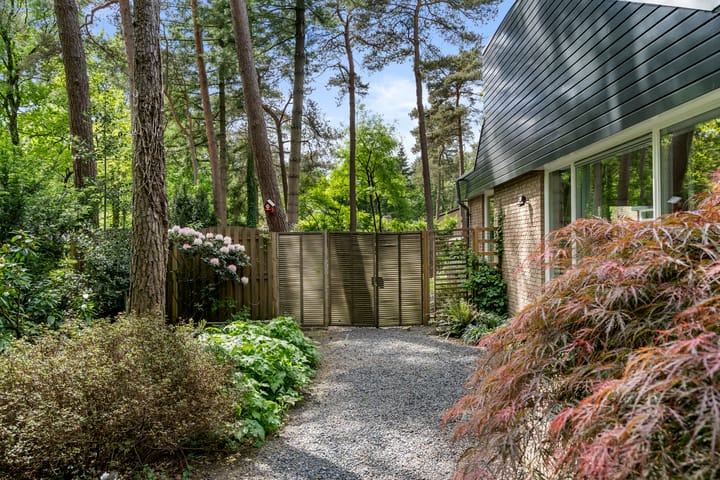 Foto 14 van Sparrenbos 9