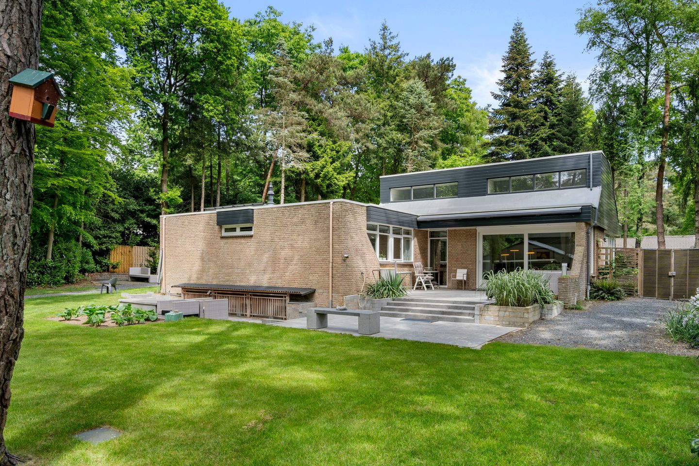 Photo 19 of Sparrenbos 9