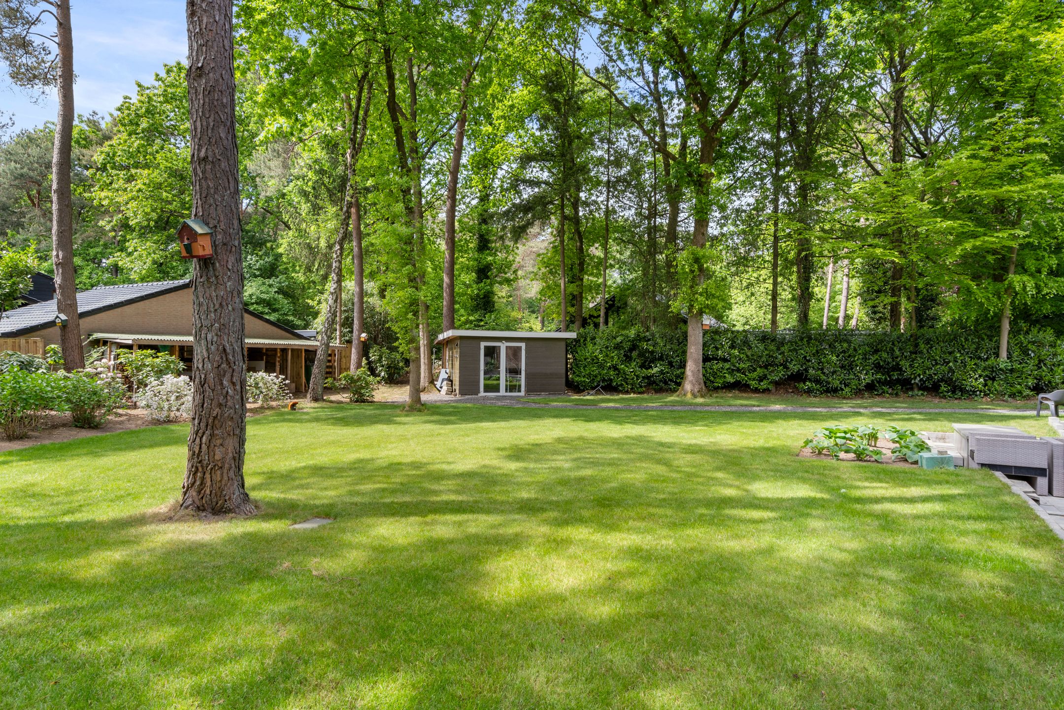 Photo 21 of Sparrenbos 9