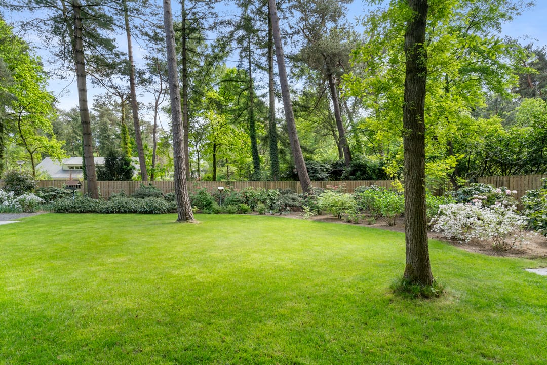 Photo 22 of Sparrenbos 9