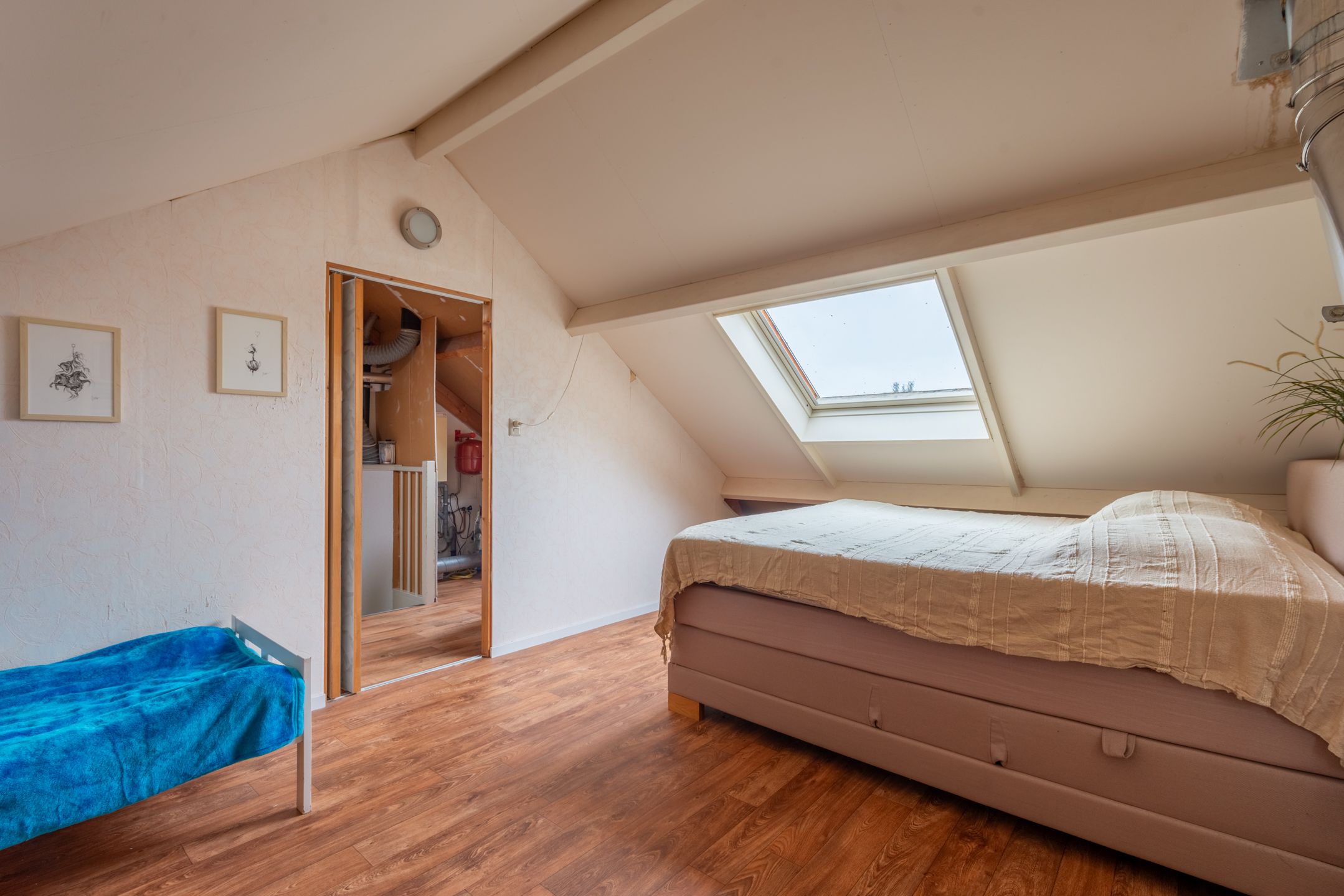 Foto 36 van Kamille 35