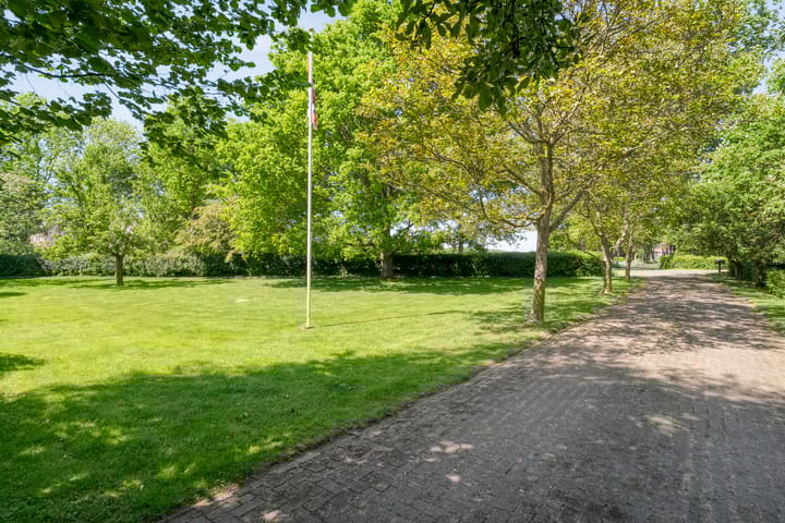 Foto 12 van Nijeveense Bovenboer 20