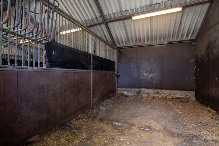 Foto 43 van Vredenheim 5