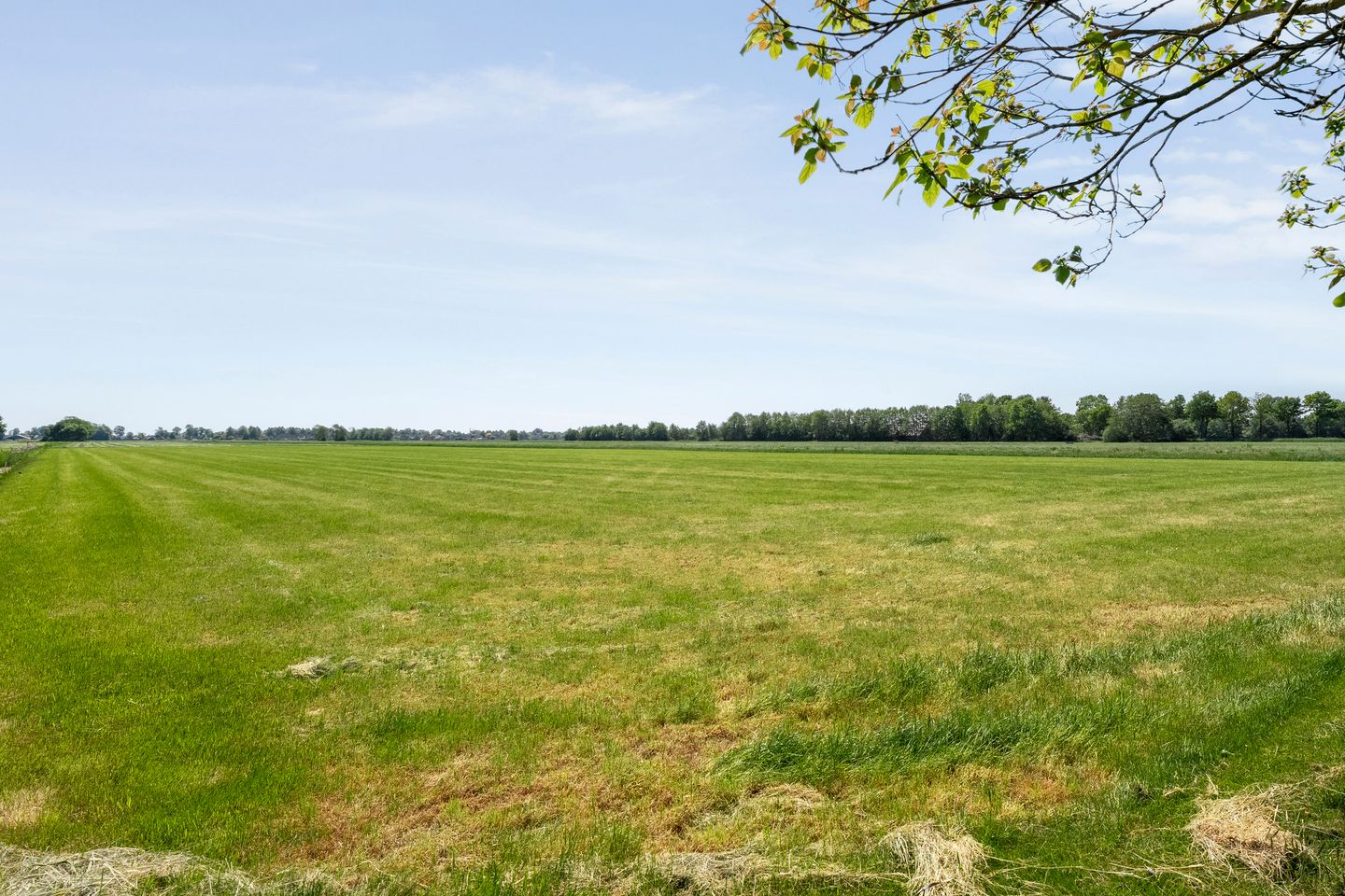 Foto 59 van Nijeveense Bovenboer 20