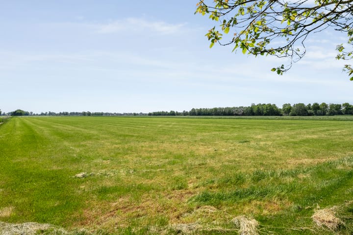 Foto 59 van Nijeveense Bovenboer 20