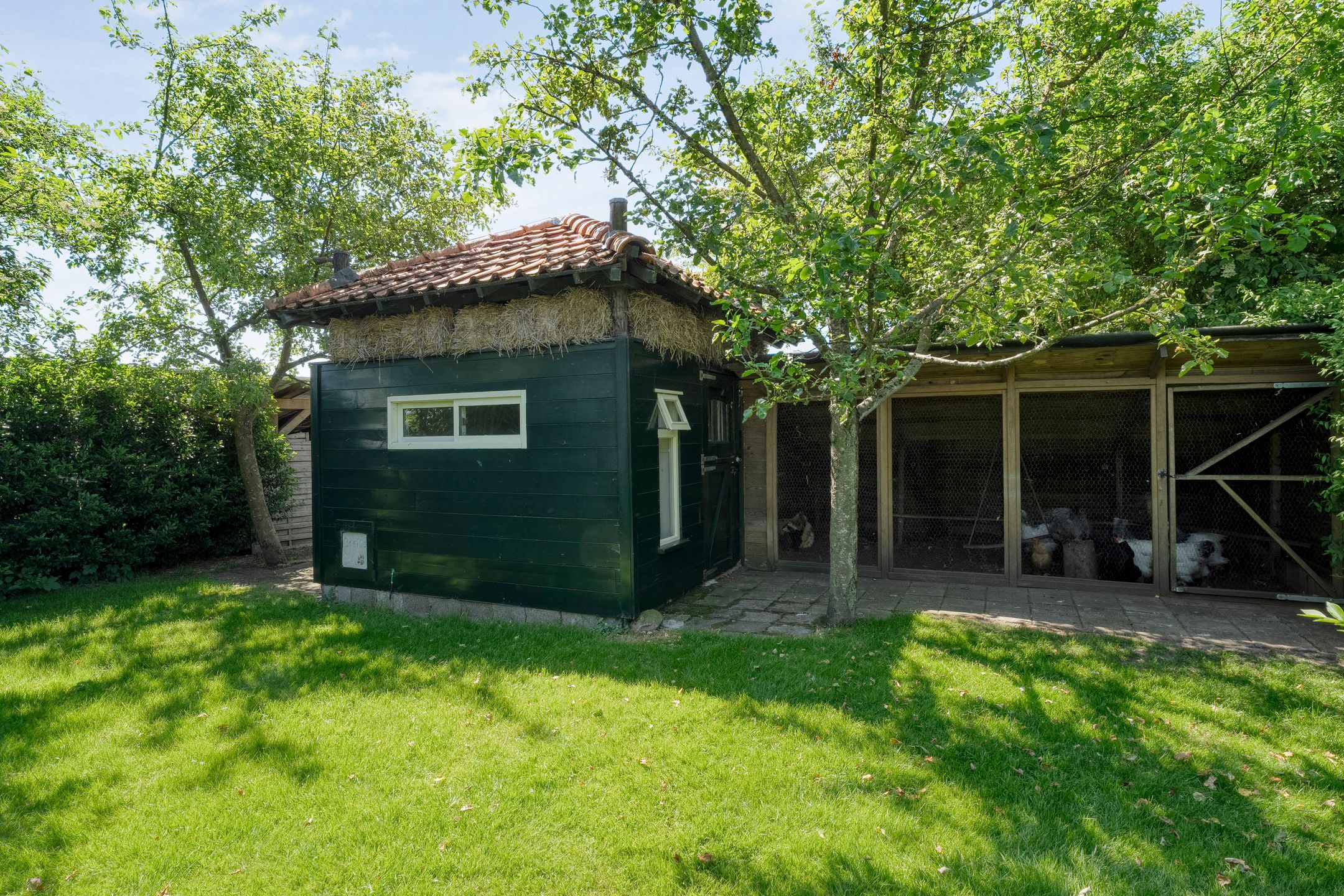 Foto 63 van Nijeveense Bovenboer 20