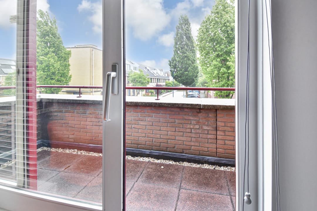 Photo 37 of Wengéhout 26