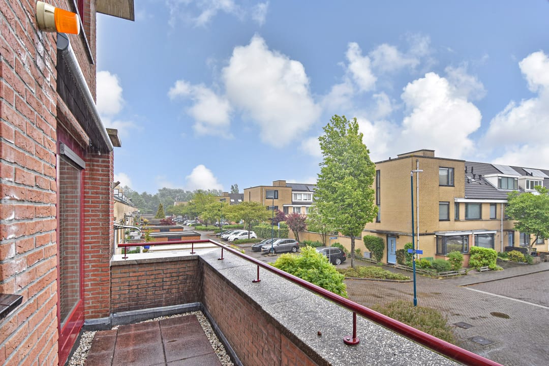 Photo 38 of Wengéhout 26