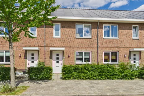 undefined main image