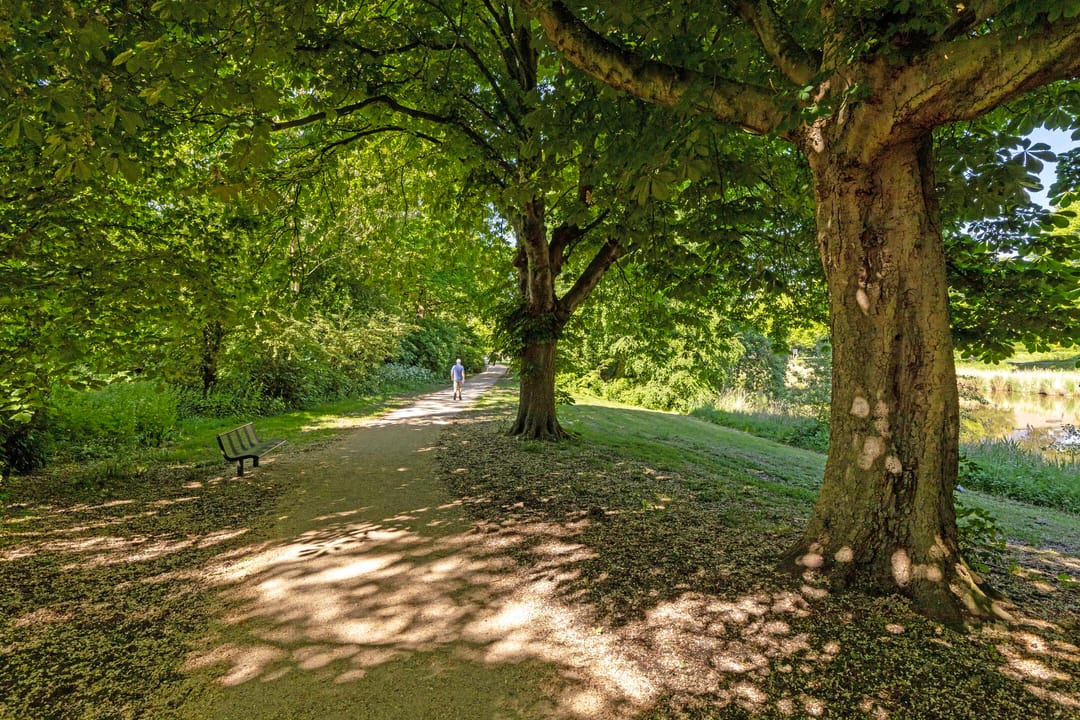 Foto 38 van Noordpoortstraat 1