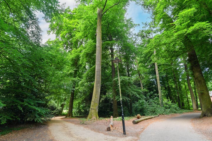 Foto 35 van Bernhardlaan 41-4