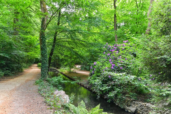 Foto 37 van Bernhardlaan 41-4